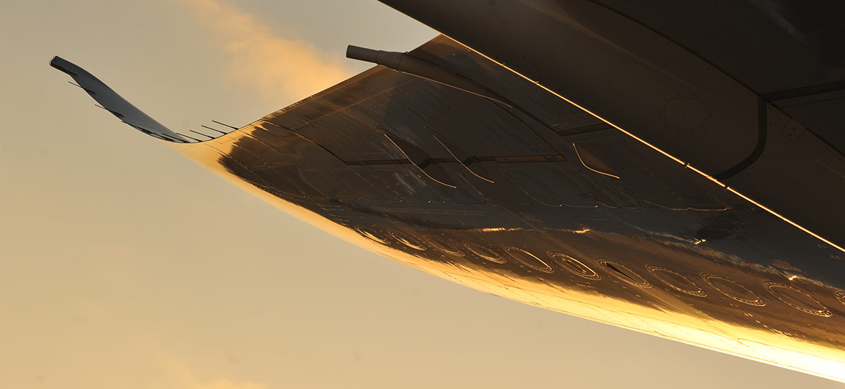 Go Green with 787
