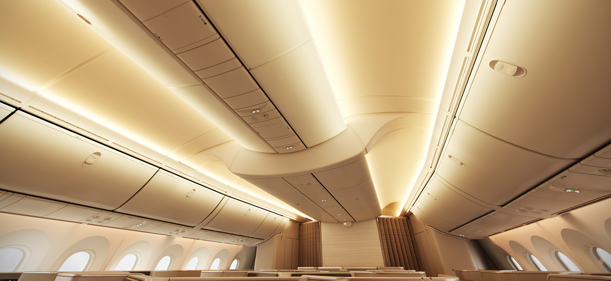 Stand Tall in 787